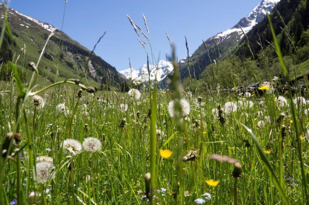 Garni Roesslhof Hollersbach im Pinzgau Exterior foto