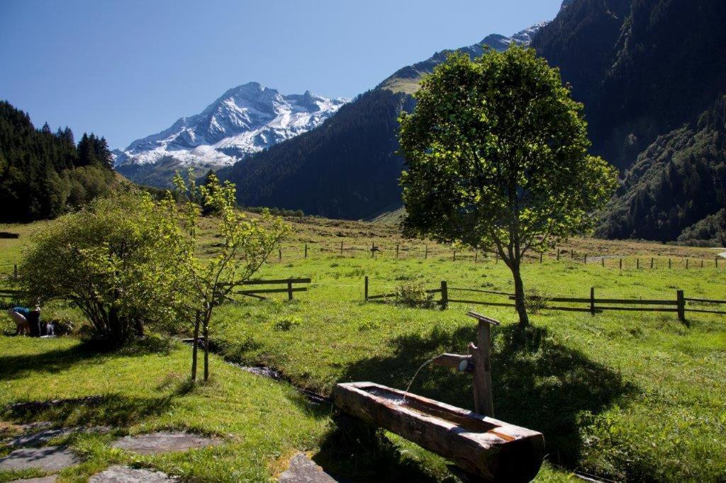 Garni Roesslhof Hollersbach im Pinzgau Exterior foto