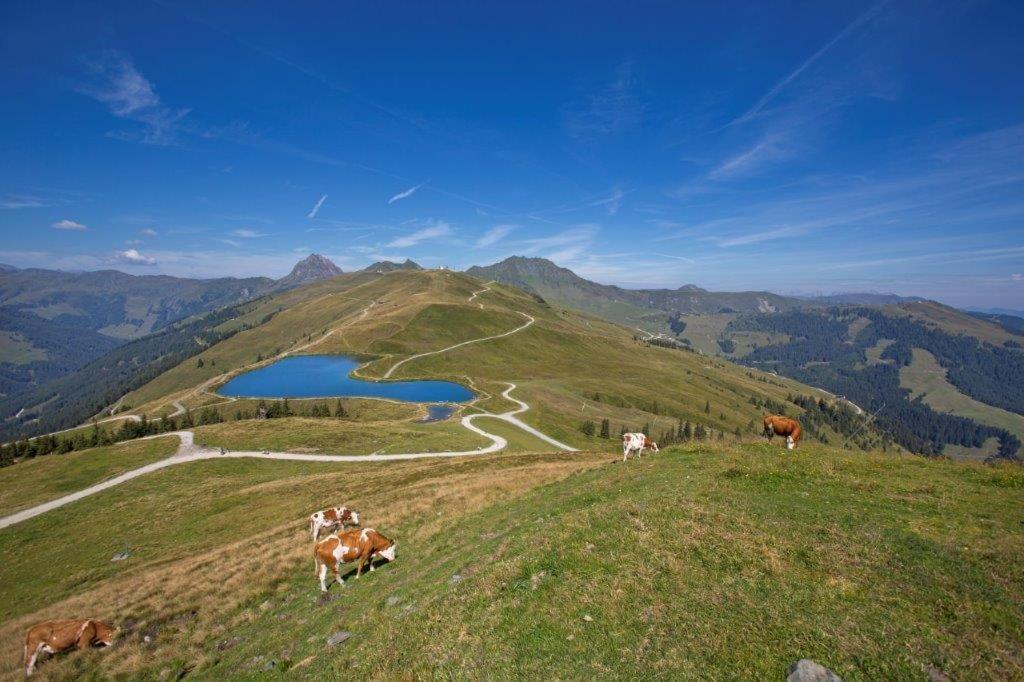 Garni Roesslhof Hollersbach im Pinzgau Exterior foto